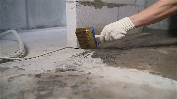 24/7 Emergency Exterior Waterproofing experts in Williston, SC